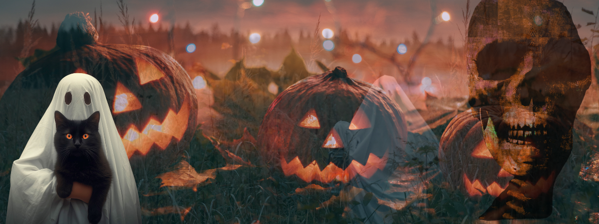 Halloween in the park